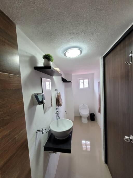 D-07 Novaga Downtown Cancún Eksteriør bilde